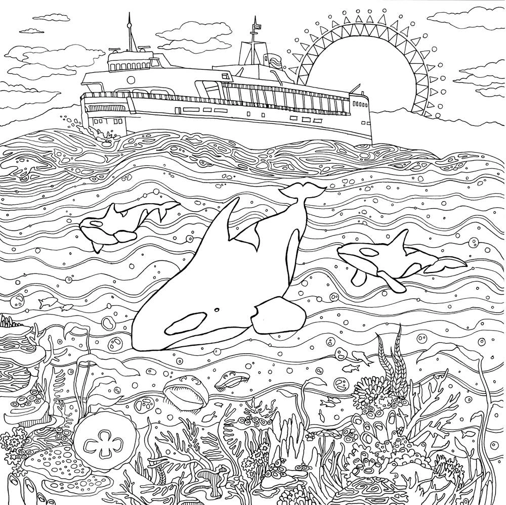 Sharks in the sea coloring book